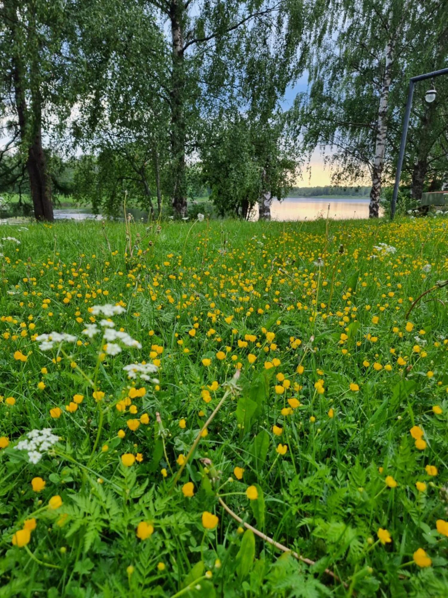 Апартаменты Wanha Kunnantalo Пудасъярви Экстерьер фото